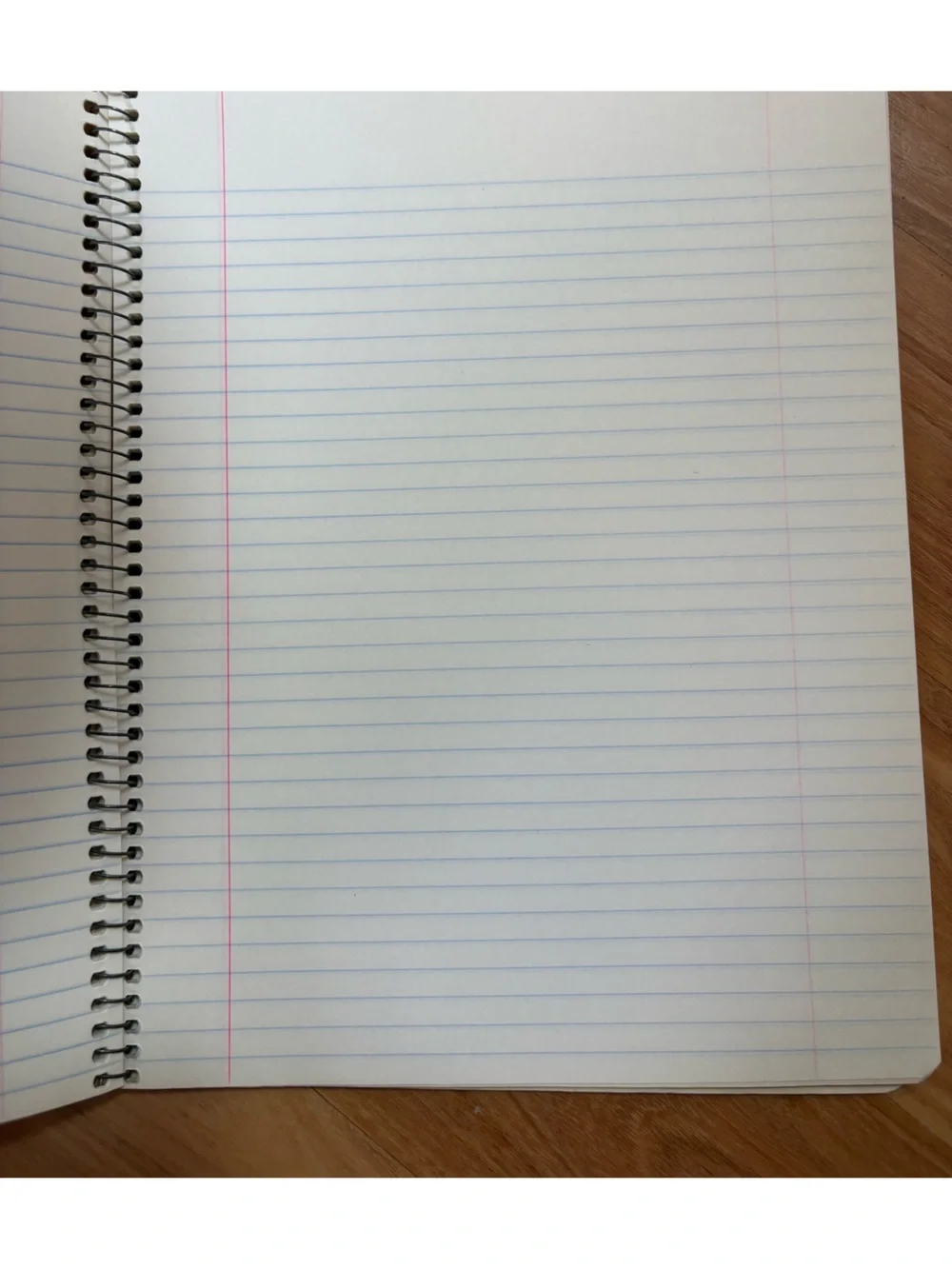 Vintage 1978 Bee Gees spiral College Ruled Paper Notebook